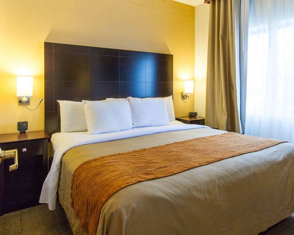 Comfort Inn & Suites Paw Paw Pokoj fotografie