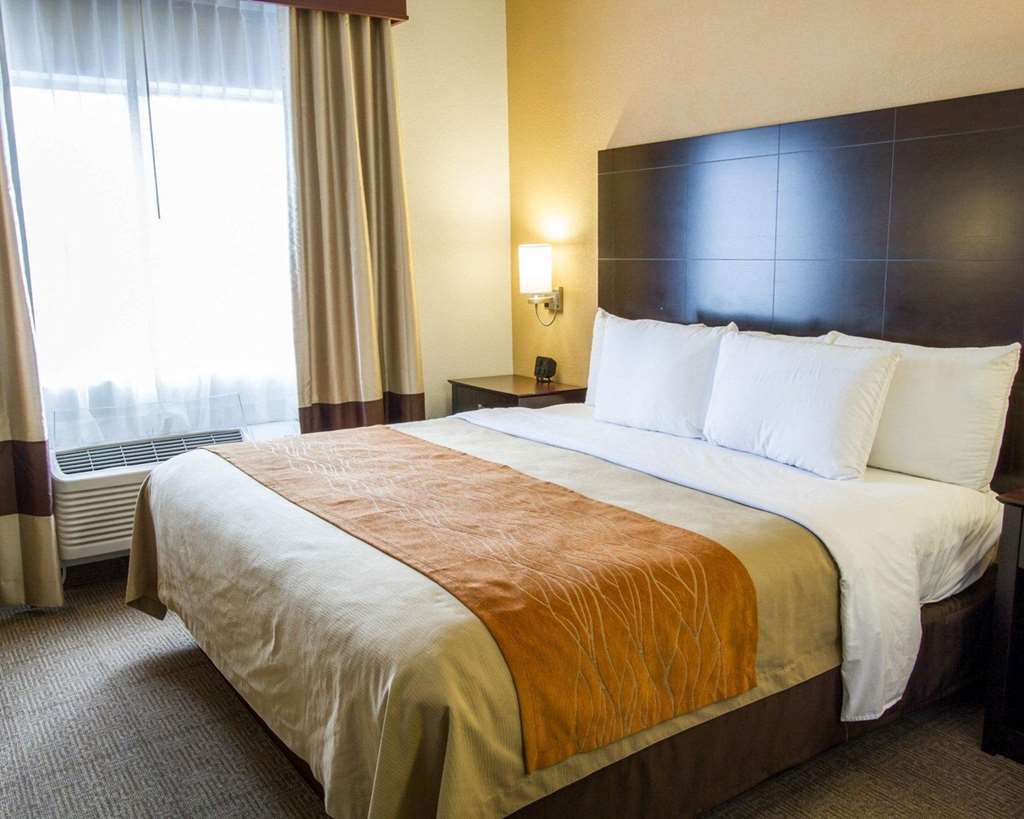 Comfort Inn & Suites Paw Paw Pokoj fotografie